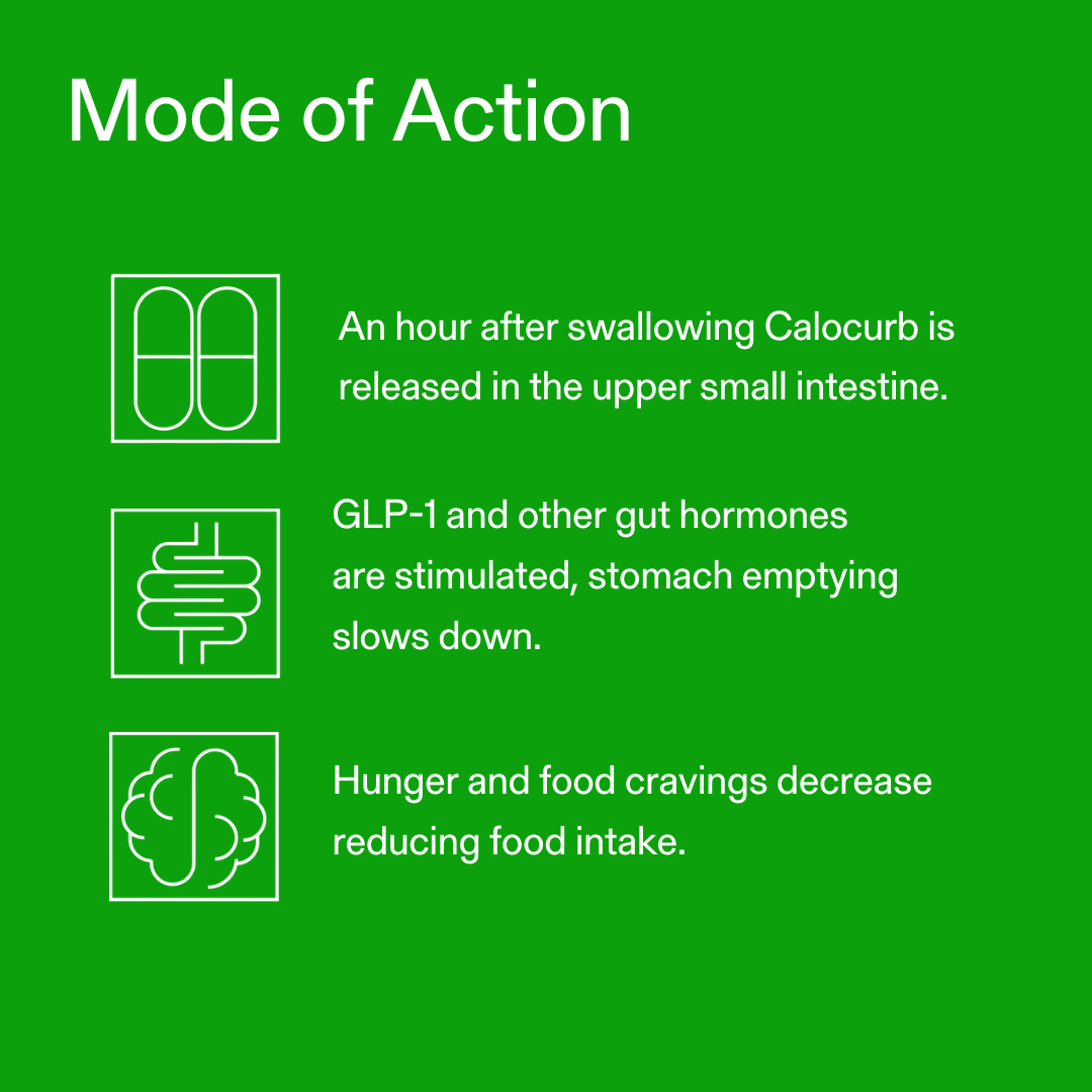 Calorie Control Supplement 6X Natural GLP